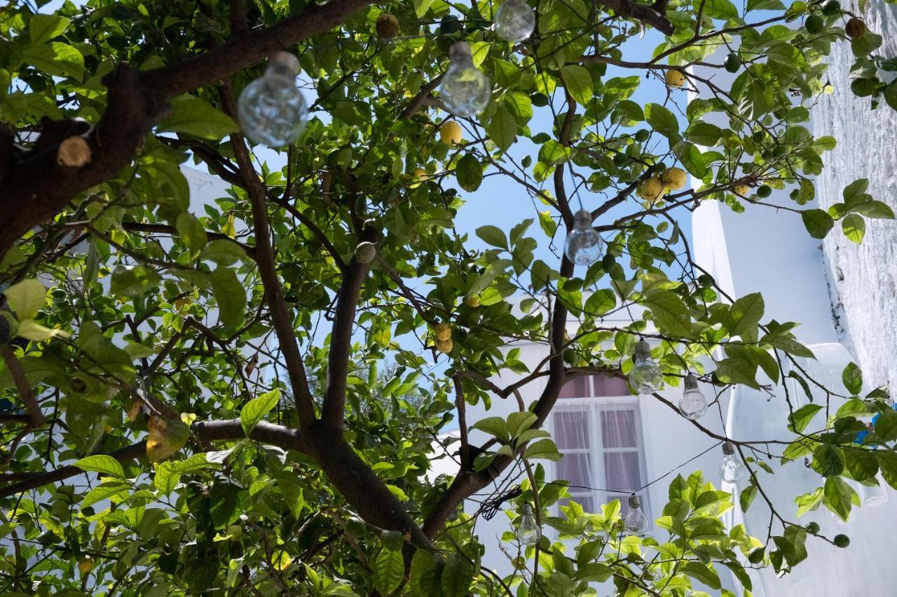 Appartement The Venetian Walls 'central House With Private Courtyard - Charmy & Cheap'
